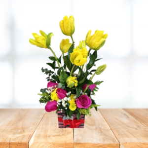 TULIPAN1