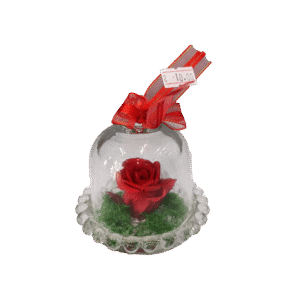 Mini Cúpula de Rosa Eterna