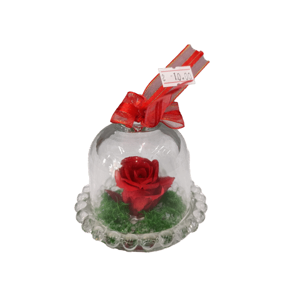 Mini Cúpula de Rosa Eterna