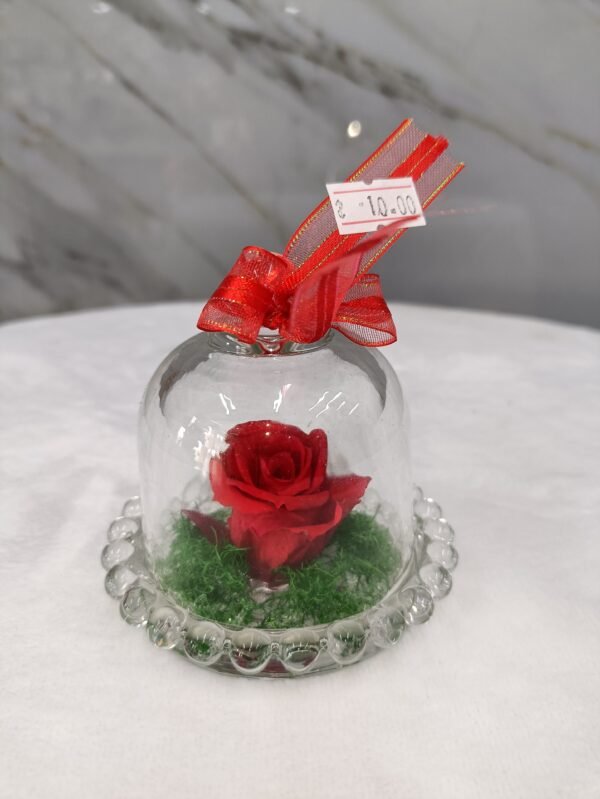 Mini Cúpula de Rosa Eterna - Imagen 2