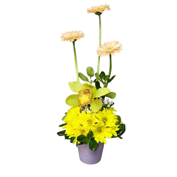 Arreglo Floral en Base Lila con Gerberas y Orquídea